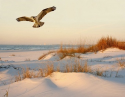 (Bild: Shutterstock)